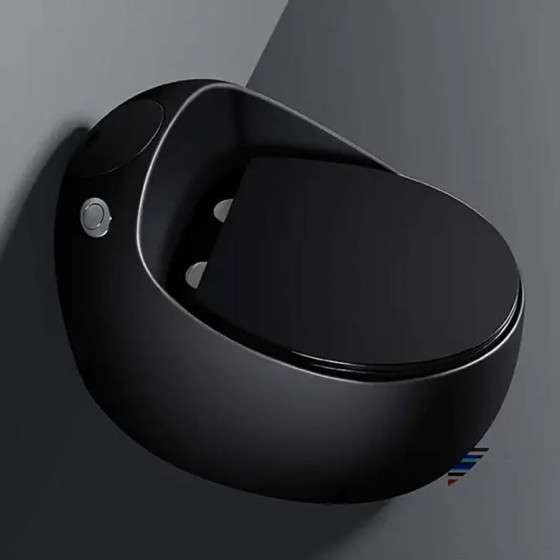 WC monobloc noir sans bride | Soft-close | Design moderne