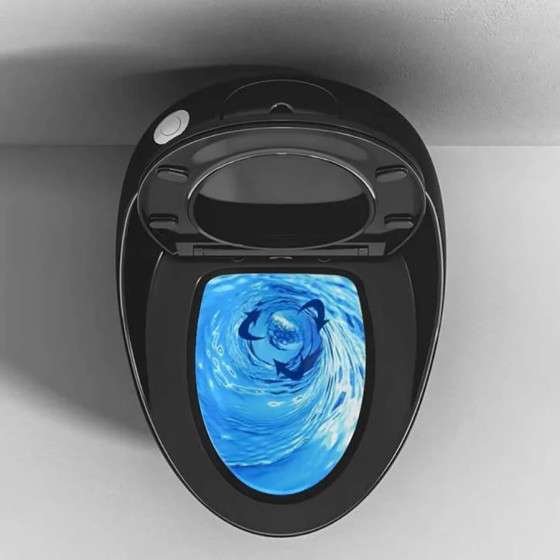 WC monobloc noir sans bride | Soft-close | Design moderne