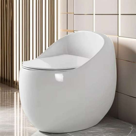 WC monobloc blanc sans bride | Design moderne