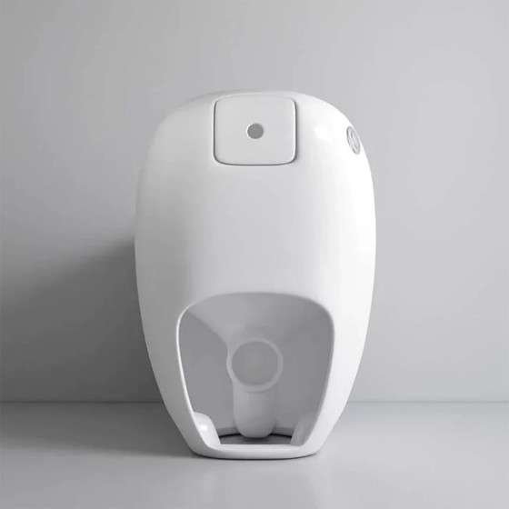WC monobloc sans bride blanc et gris | Design moderne