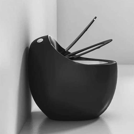 WC monobloc noir sans bride | Soft-close | Design moderne