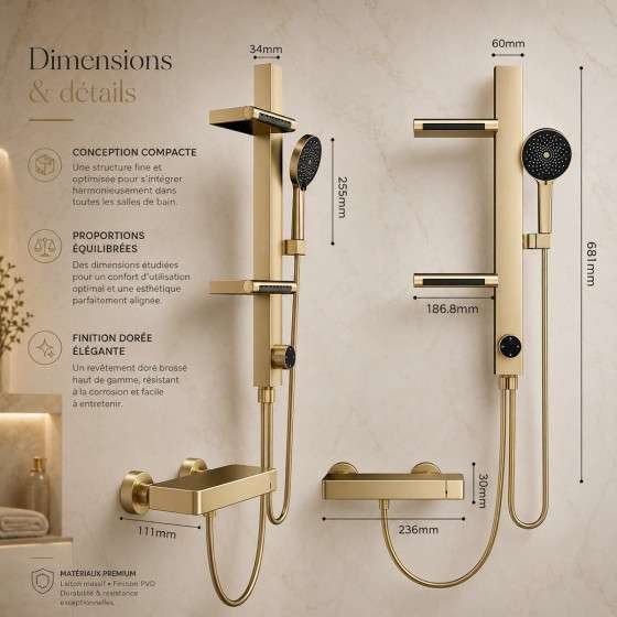 Mitigeur bain-douche Noblesse doré – Jets massants et élégance